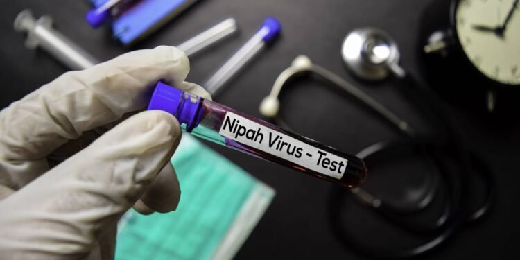 Índia confirma surto do vírus Nipah; letalidade chega a 75% dos casos