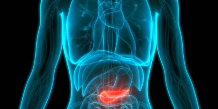 Cientistas usam combinação de medicamentos e combatem câncer de pâncreas em testes com animais