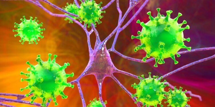 OMS faz revelação sobre disseminação de vírus Nipah fora da Índia