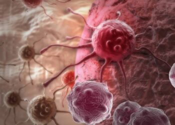 Bactéria do solo que 'come' células do câncer anima cientistas