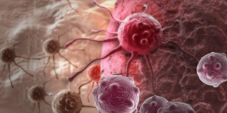 Bactéria do solo que 'come' células do câncer anima cientistas