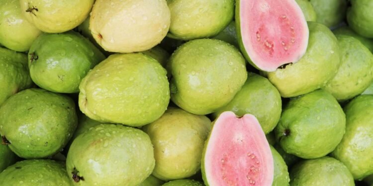 Afinal, goiaba prende ou solta o intestino? Descubra!