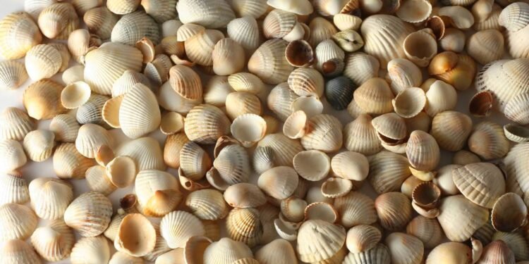 Créditos: depositphotos.com / InnaSidorova