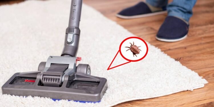 Créditos: depositphotos.com / F01photo