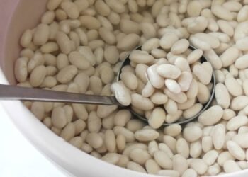 Conheça a planta que pode eliminar os gases do feijão; saiba mais