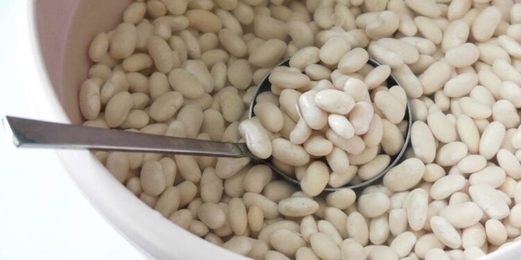 Conheça a planta que pode eliminar os gases do feijão; saiba mais