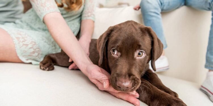 Créditos: depositphotos.com / ArturVerkhovetskiy