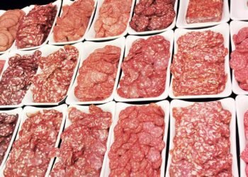 Alimentos ultraprocessados aumentam risco de doença cardíaca e câncer