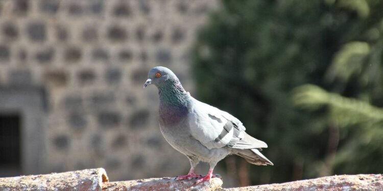 Créditos: depositphotos.com / James633