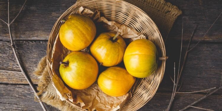 Lúcuma: conheça os benefícios desta fruta desconhecida