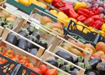 Alimentação no verão: quais alimentos adicionar ou eliminar da rotina