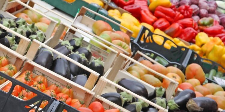 Alimentação no verão: quais alimentos adicionar ou eliminar da rotina