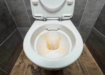 Vaso sanitário amarelado? Saiba como limpar com apenas dois ingredientes