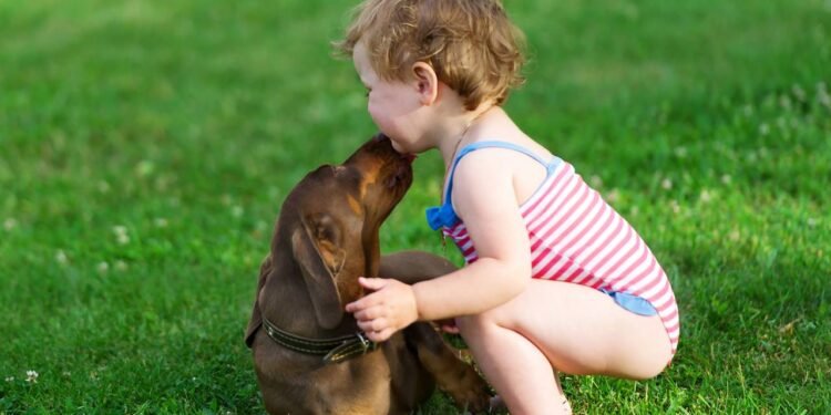 Lambida de cachorro: carinho ou comunicação química?