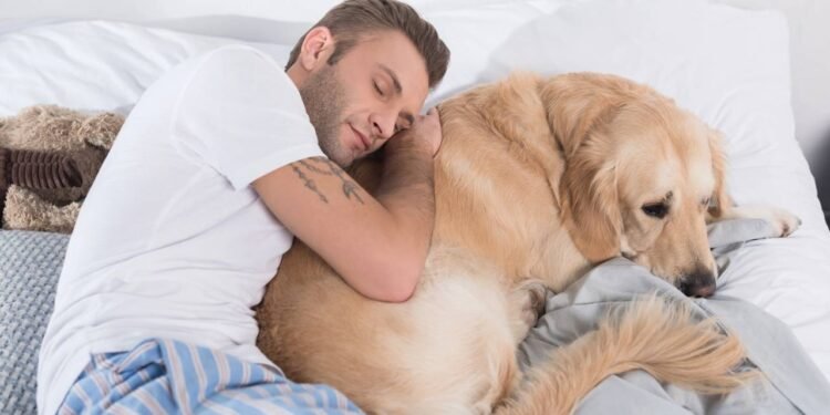 Créditos: depositphotos.com / AllaSerebrina