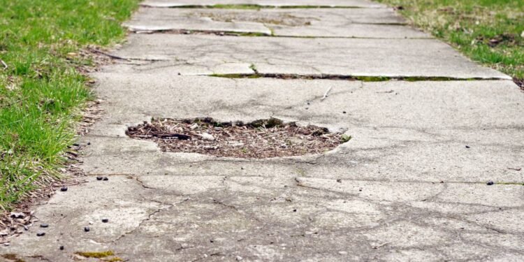 Créditos: depositphotos.com / markcarper