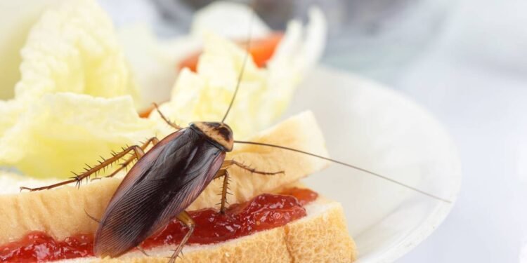 Créditos: depositphotos.com / ganchaonan1@gmail.com