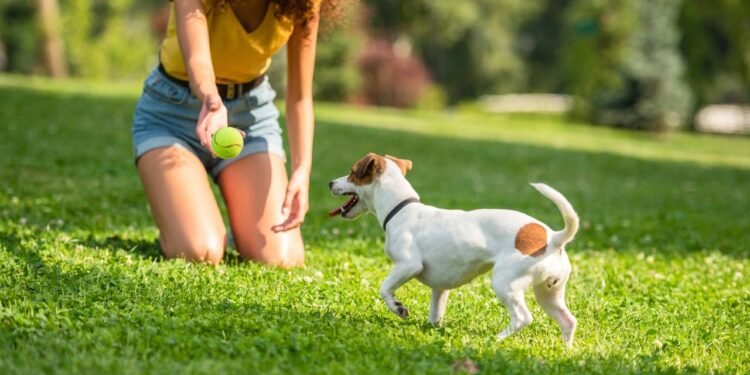 Créditos: depositphotos.com / HayDmitriy