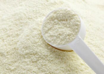 Afinal, leite em pó pode substituir o whey protein? Especialista explica