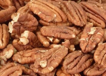 Conheça o poder da nozes-pecã contra o 'colesterol ruim'