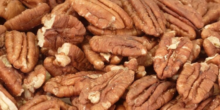 Conheça o poder da nozes-pecã contra o 'colesterol ruim'