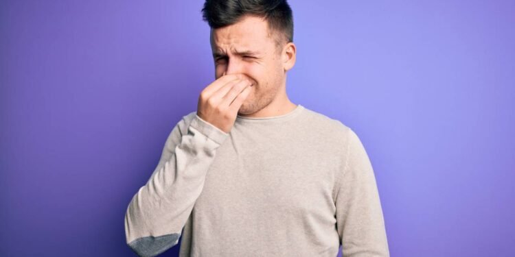 Veja os 4 vegetais que mais causam gases e saiba como evitar o desconforto