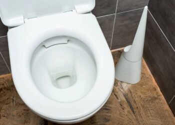 Sal e bicarbonato de sódio: o truque caseiro para limpar vasos sanitários