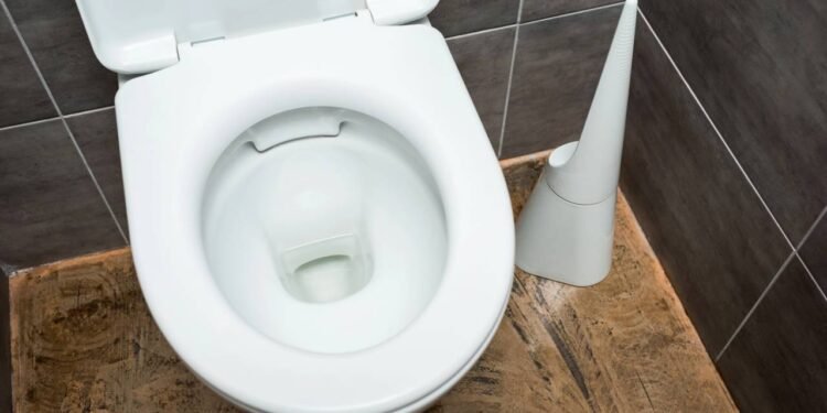 Sal e bicarbonato de sódio: o truque caseiro para limpar vasos sanitários