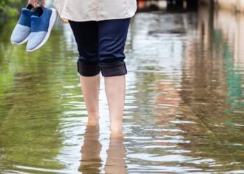 Leptospirose e dengue: como evitar as doenças que aumentam com as chuvas