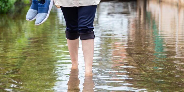 Créditos: depositphotos.com / Chai2523