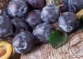 Ameixa: o superalimento que ajuda o intestino e protege o coração