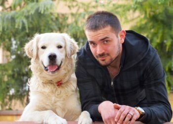 A ciência por trás da amizade entre cães e humanos; entenda