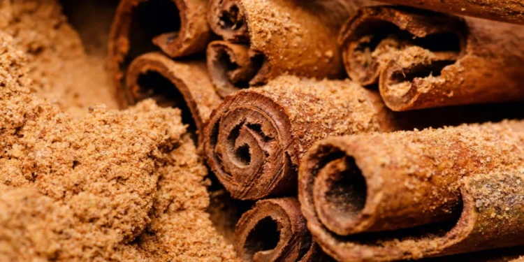 Canela, abacate e aveia são poderosos aliados; conheça uma lista de alimentos que ajudam a manter a glicemia sob controle naturalmente