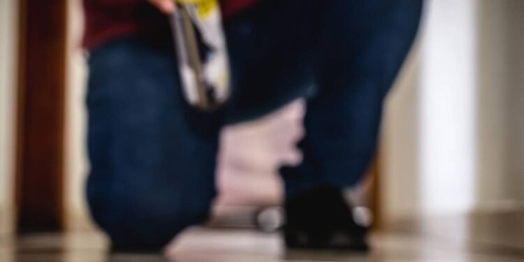 Dedetização no DF: quanto custa e como contratar um serviço seguro?