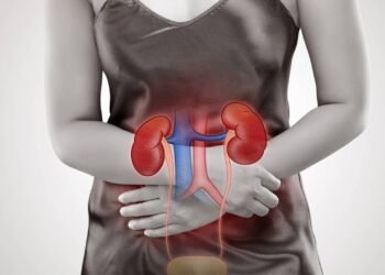 Dor nos rins: causas, sintomas e quando buscar atendimento