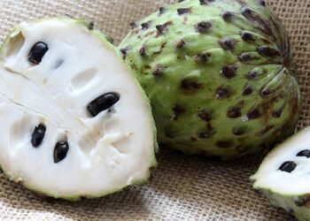 Graviola faz mal para o fígado ou rins? Mitos e verdades da fruta