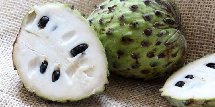 Créditos: depositphotos.com / Marcotga