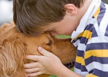 Cães: veja as raças que se dá melhor com crianças