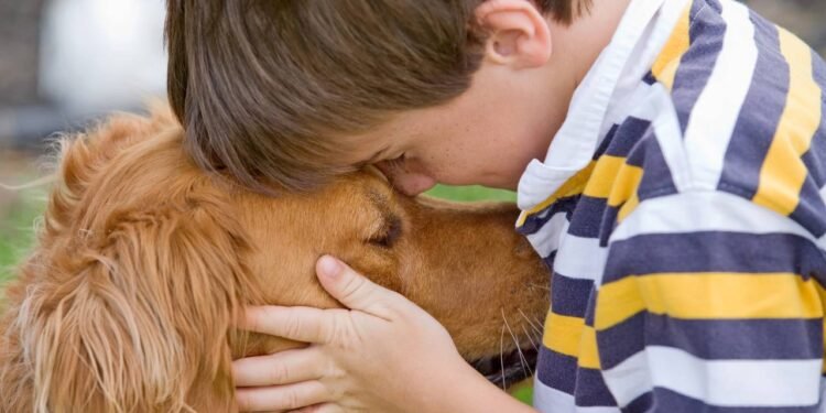 Cães: veja as raças que se dá melhor com crianças