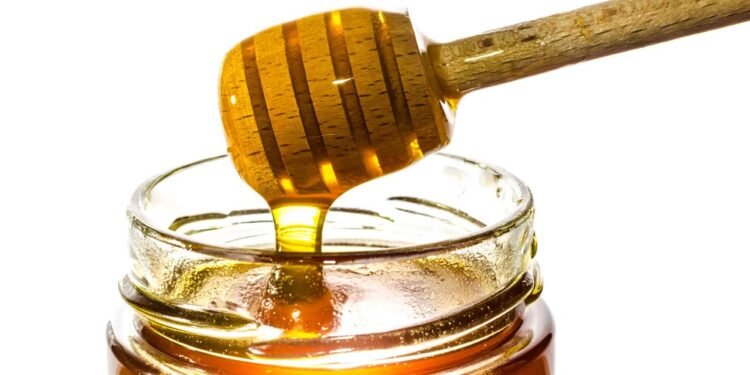 Créditos: depositphotos.com / roblan