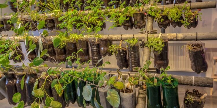 Saiba os benefícios de colocar garrafas pets no jardim