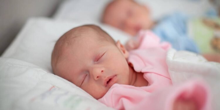 Créditos: depositphotos.com / dechevm