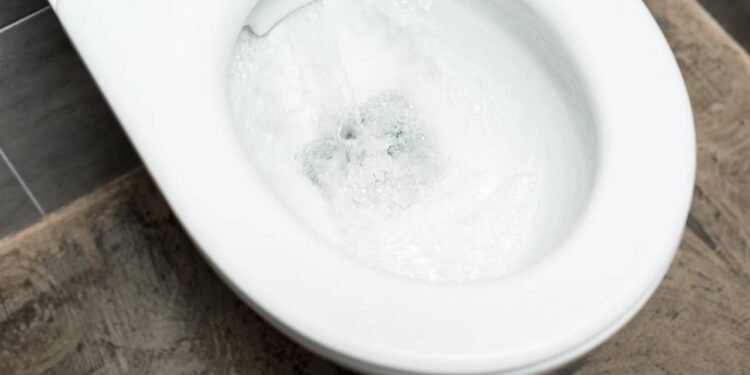 Vaso sanitário entupiu? Saiba resolver de forma rápida e econômica