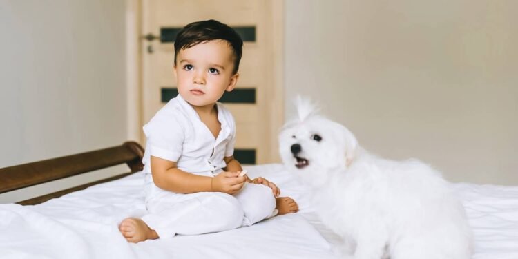 Créditos: depositphotos.com / IuliiaVerstaBO