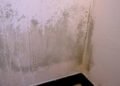 Parede com mofo: saiba como eliminar com mistura poderosa