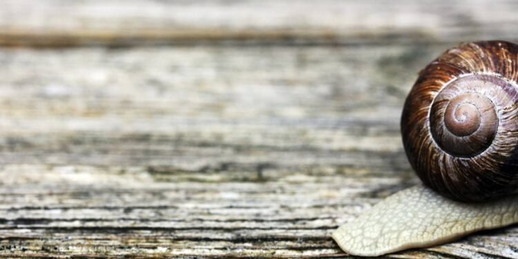 Caminhar se arrastando; psicologia explica comportamento