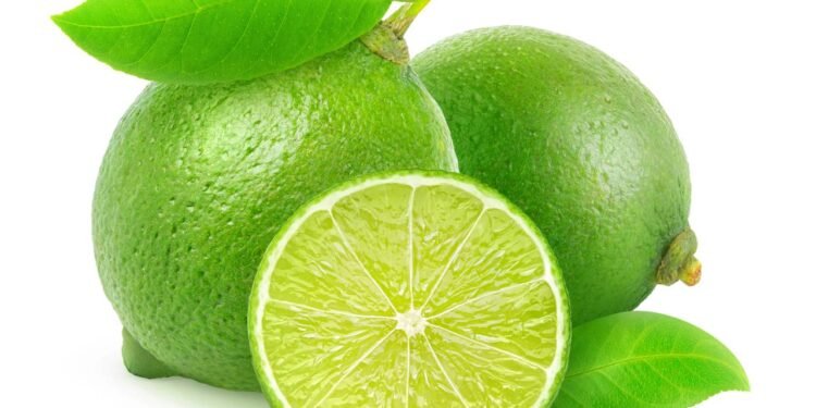 Créditos: depositphotos.com / photomaru