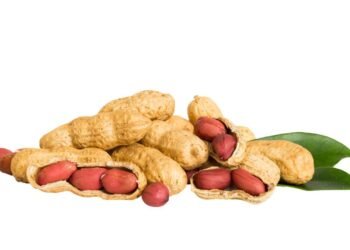 Não jogue fora! Saiba como a casca de amendoim pode ser útil