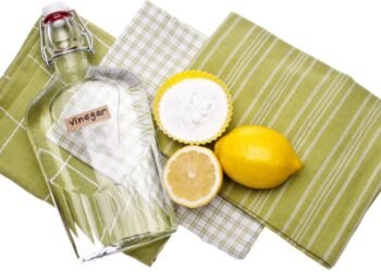 Misture vinagre e casca de limão e descubra um desengordurante caseiro