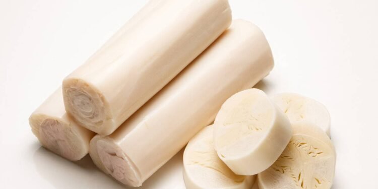 Créditos: depositphotos.com / diogoppr